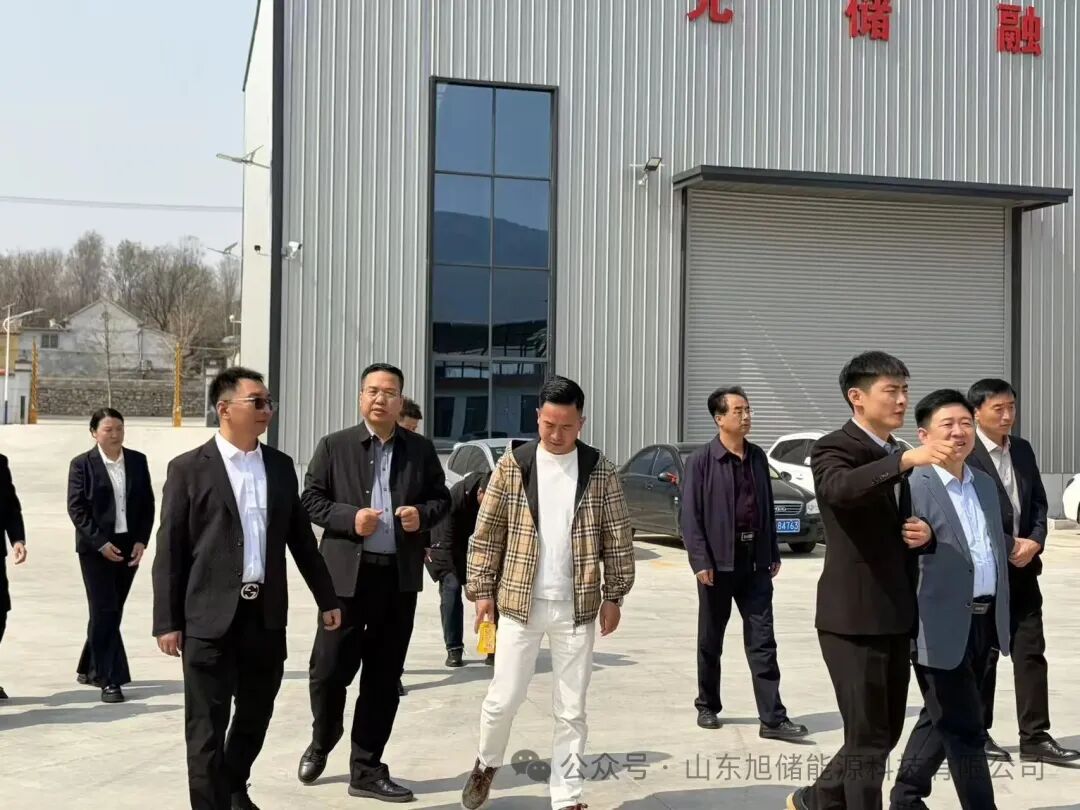 The party and government delegation of Zhengning County visited and inspected Shandong Xuchu Energy